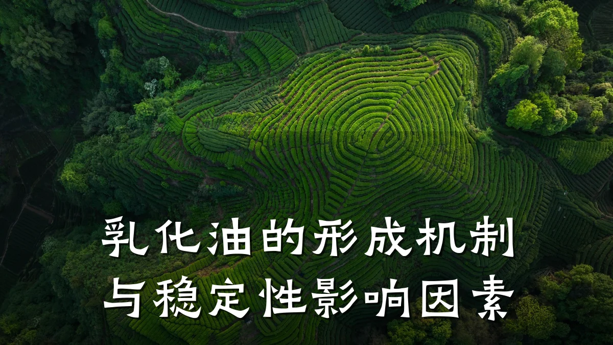 乳化油的形成机制与稳定性影响因素